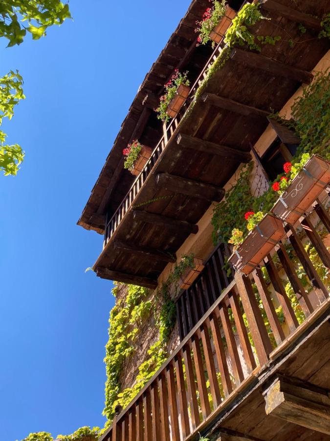 La Casa Del Bosque Villa Cabra de Mora Exterior photo